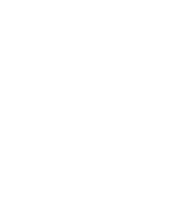 THE PULI HOTEL AND SPA